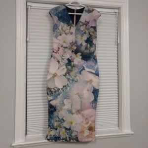 Ted Baker Midi Gorgeous Multi Color Dress